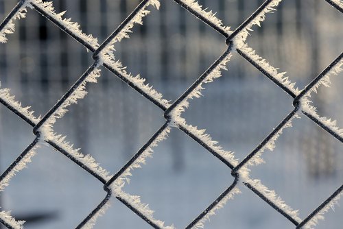fence  frozen  snow
