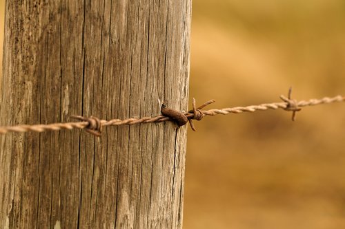 fence  wood fence  wood