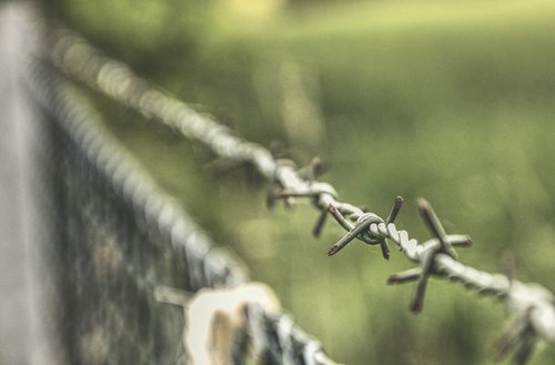 fence  barbed wire  metal