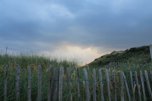 fence demarcation dunes