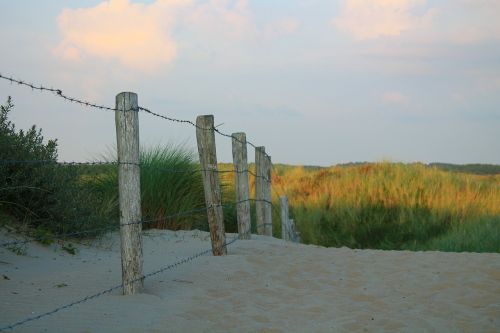 fence barbed wire sand