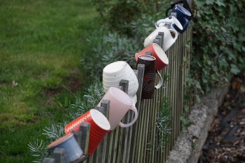 fence  cup  garden