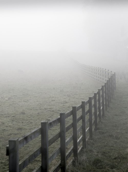 fence  mist  landscape