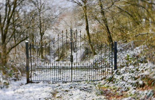 fence  fairylike  winter