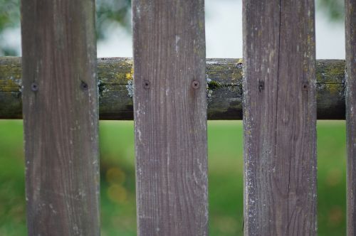 fence wood weathered