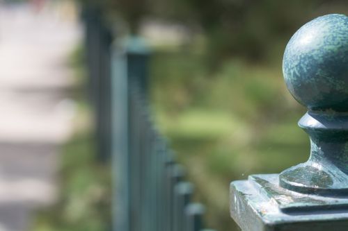 fence green outdoor