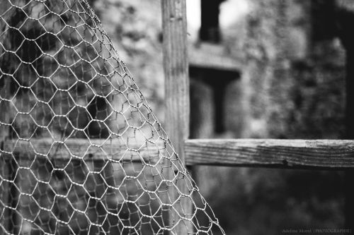 fence closing window