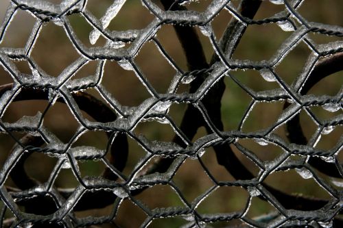 fence ice winter