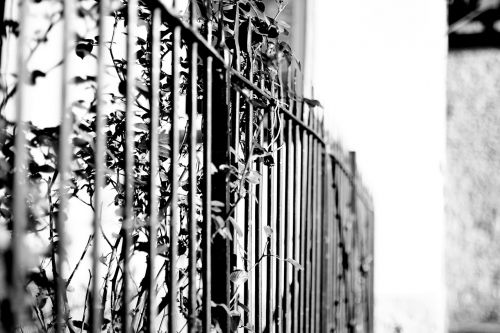 fence black white castle