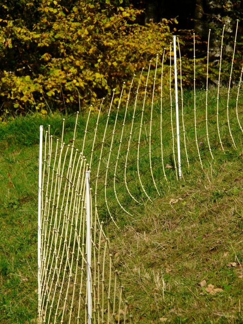 fence pasture fence pasture