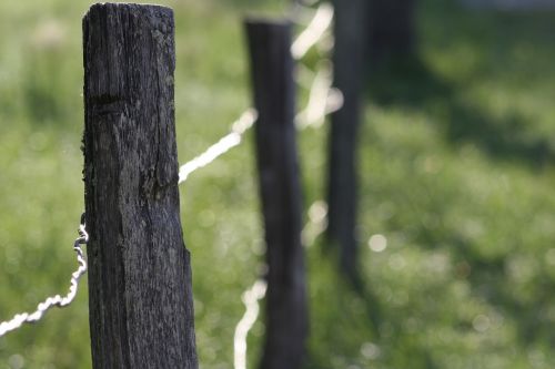 fence fence posts country