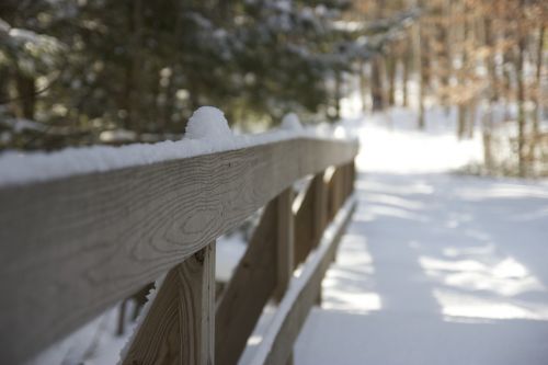 fence winter snow