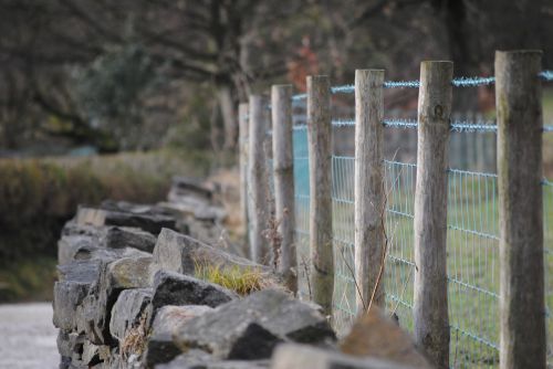 fence wall wire