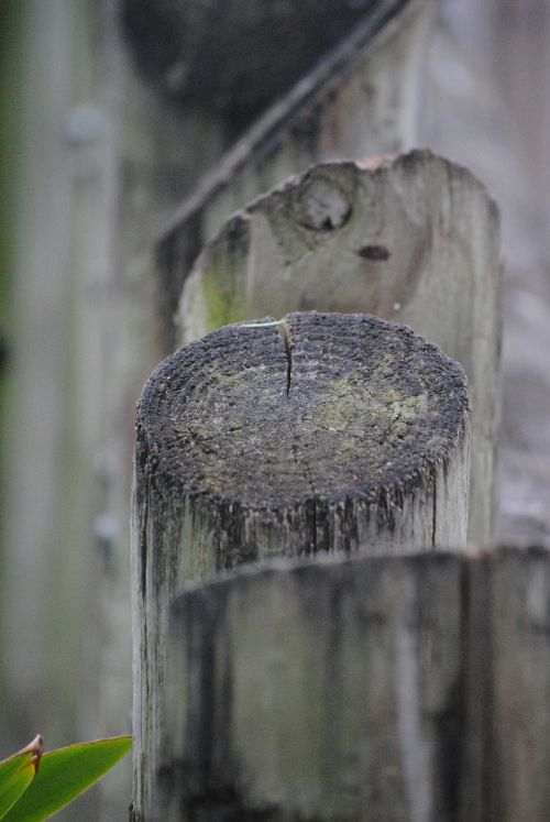 fence logs wood