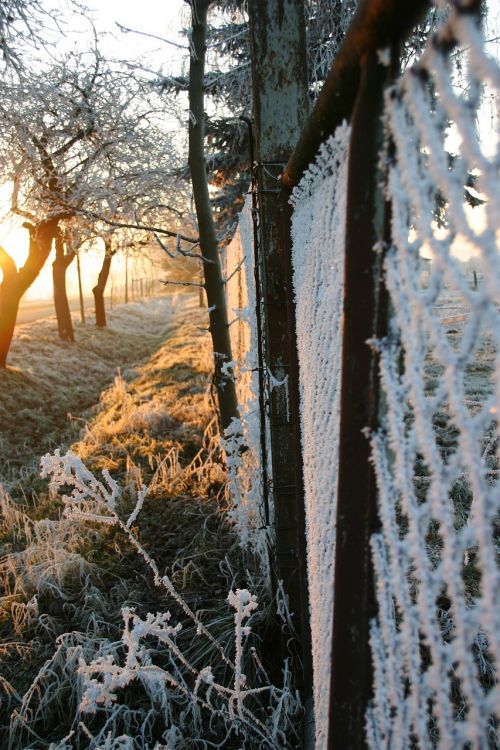 fence snow winter
