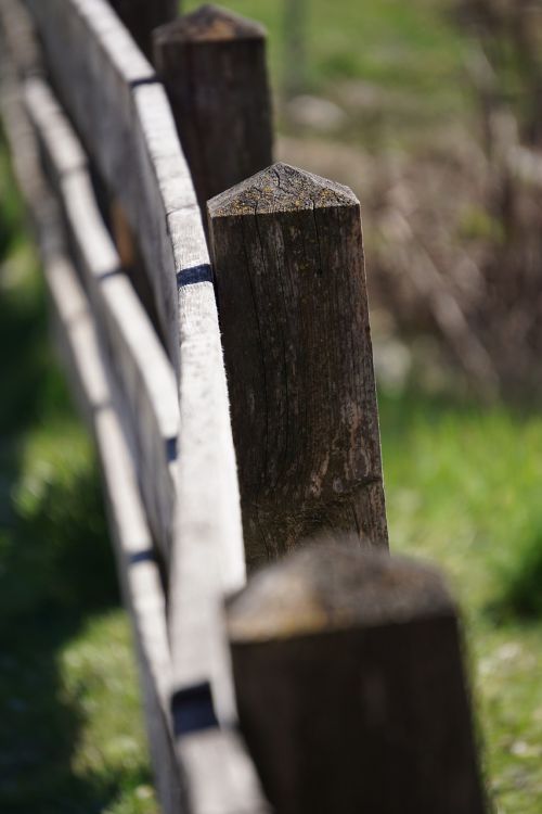 fence pillar wood