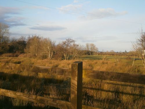 fence sunny field