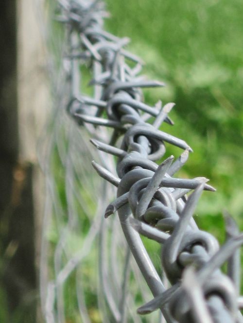 fence wire barbed