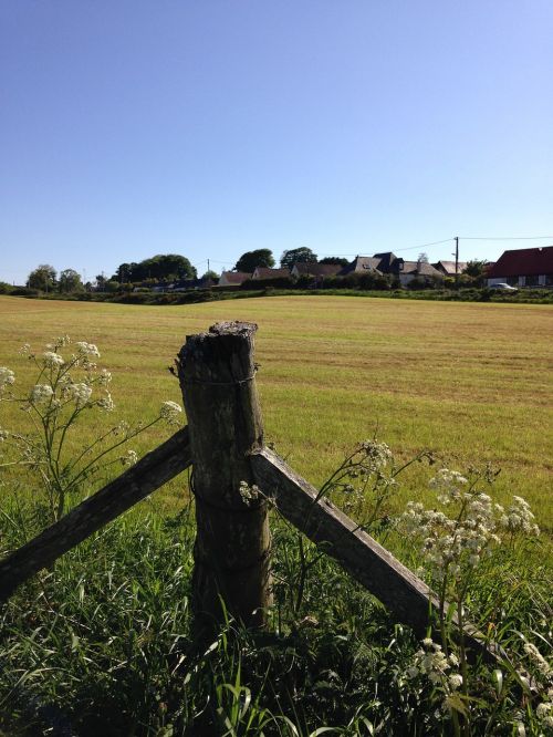 fence post field