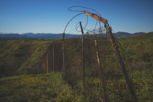 fence grass fields