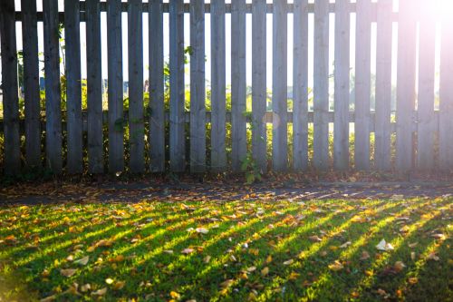 Fence And Grass