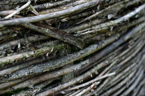 Fence From Branch