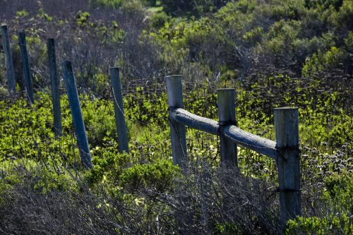 Fence In The Meadow
