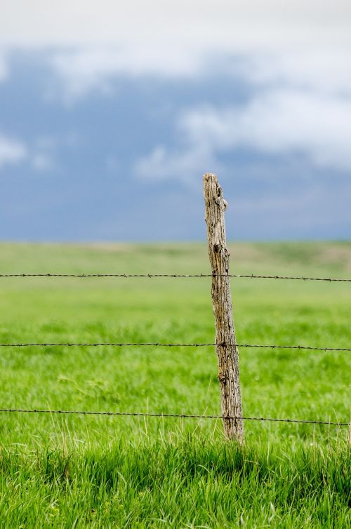 fence post barbed wire pasture