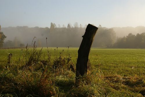 fence post fog meadow