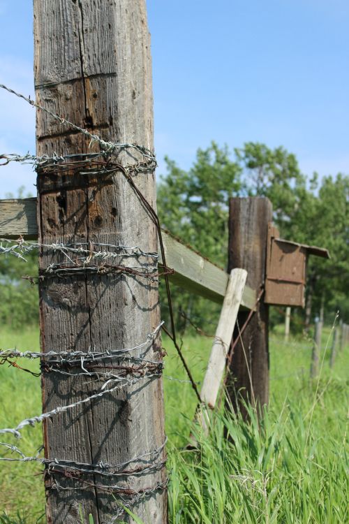Fence Post Barbed Wire