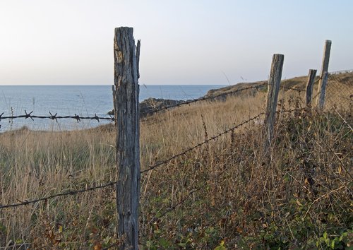 fence posts  barbed wire  fence