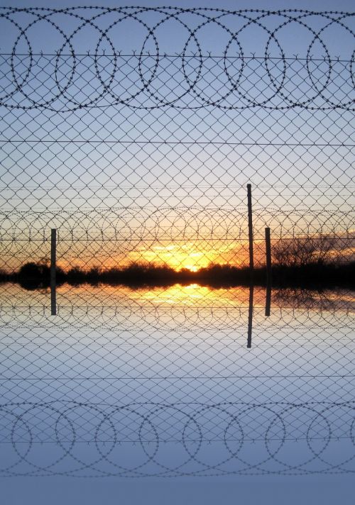 Fence Reflection