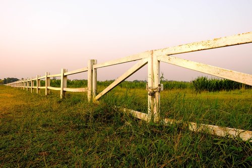 fence with green grass  fence  grass