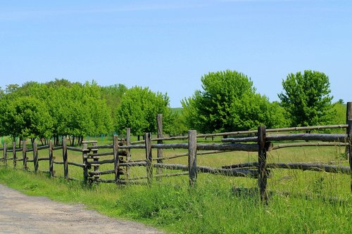 fencing  wooden fence  barrier
