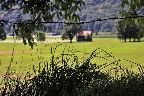 fencing of pastures  meadow  alpine