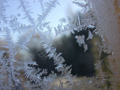 Frost On The Window