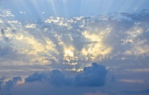 fern sky rays