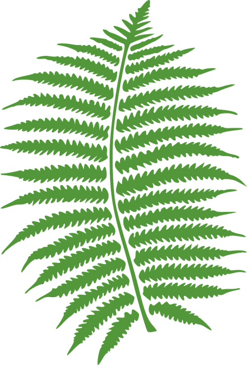 fern leaf green