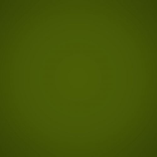Fern Green Background