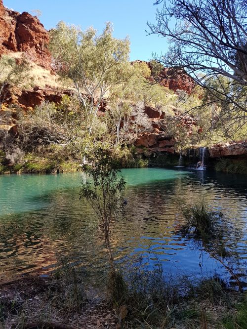 fern pool wa western australia