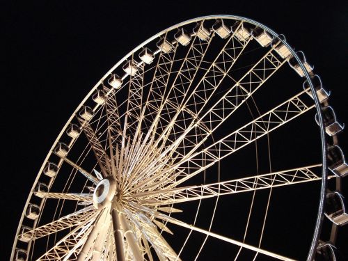 ferris wheel chicago night