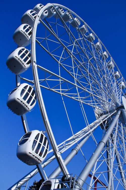 ferris wheel summer park