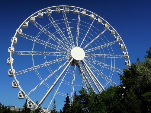 ferris wheel amusement park carousel