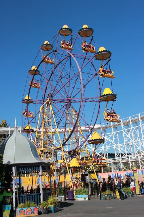 ferris wheel amusement park tourist attraction