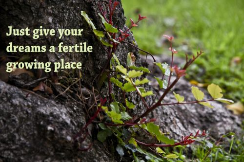 Fertile Growing Place Quote