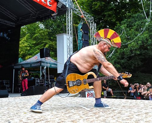 festival concert guitarist