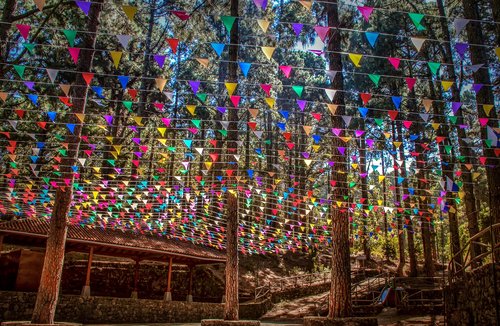 festival site  jewellery  nature