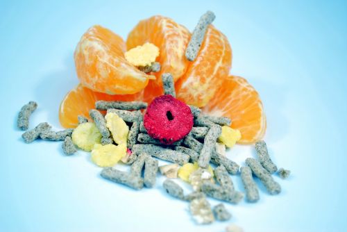 fiber oranges a healthy diet