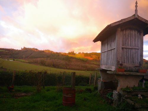 field sunset landscape