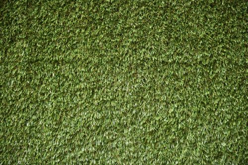 field green grass field